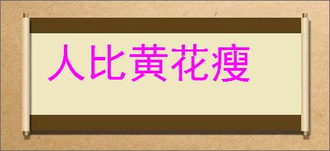 人比黄花瘦的意思,及其含义,人比黄花瘦基本解释