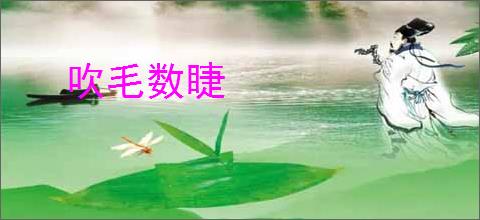 吹毛数睫