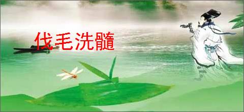 伐毛洗髓