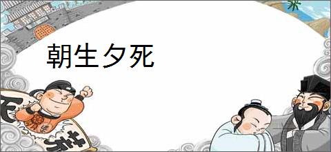 朝生夕死