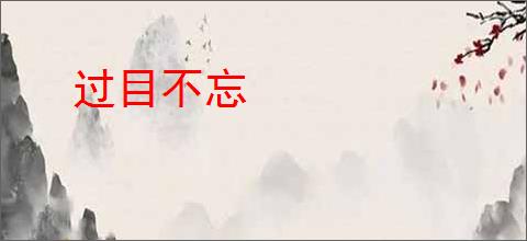 过目不忘