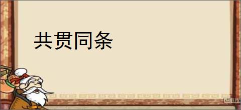共贯同条