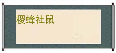 稷蜂社鼠