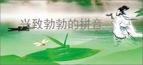 兴致勃勃的拼音