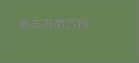 顾左右而言他