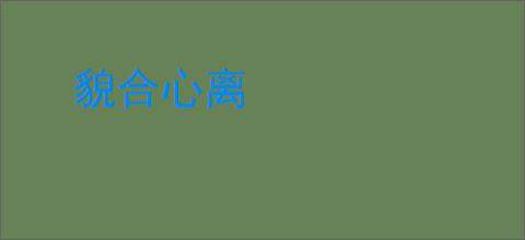 貌合心离
