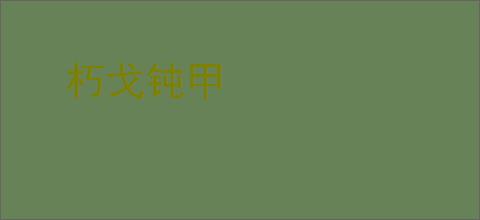 朽戈钝甲