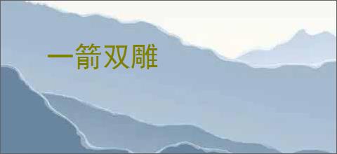 一箭双雕