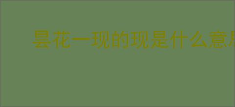 昙花一现的现是什么意思