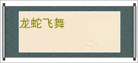 龙蛇飞舞