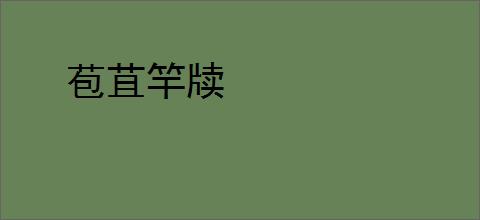 苞苴竿牍