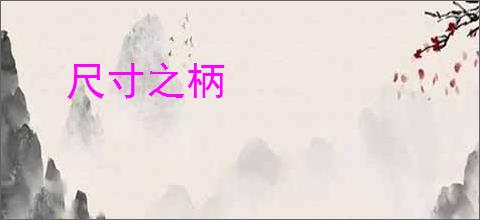 尺寸之柄