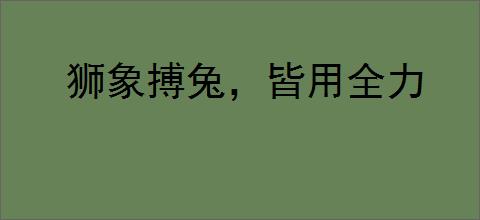 狮象搏兔，皆用全力
