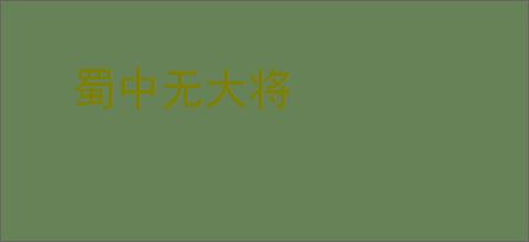 蜀中无大将