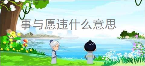 事与愿违什么意思