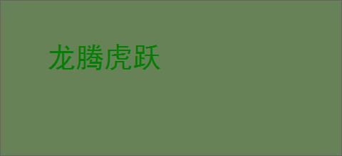 龙腾虎跃