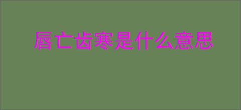 唇亡齿寒是什么意思