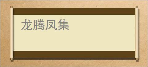龙腾凤集