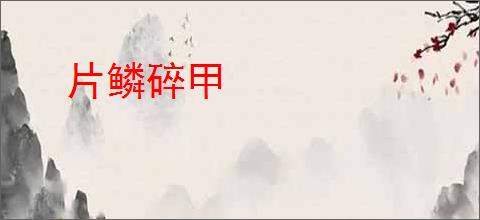 片鳞碎甲
