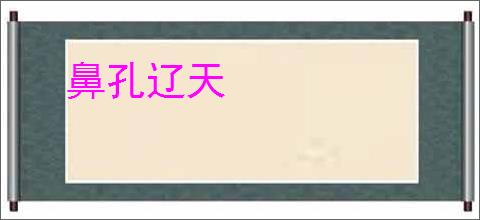 鼻孔辽天