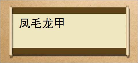 凤毛龙甲