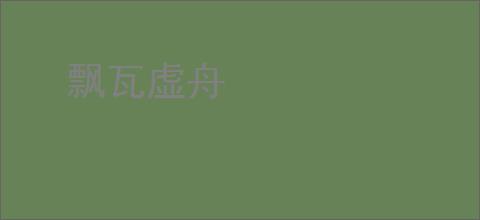 飘瓦虚舟