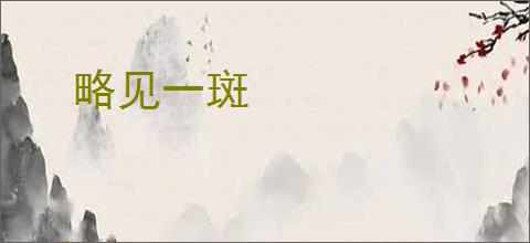 略见一斑