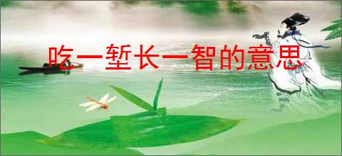吃一堑长一智的意思
