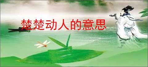 楚楚动人的意思