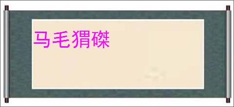 马毛猬磔