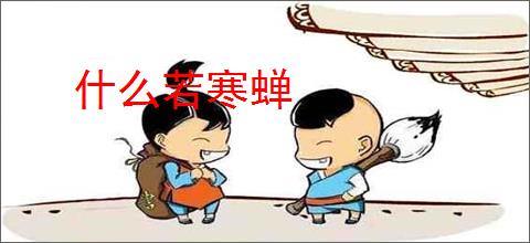 什么若寒蝉