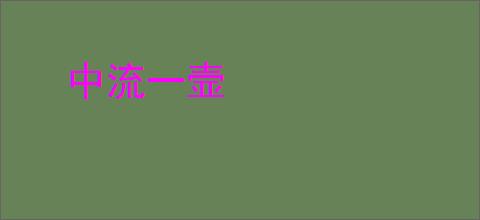 中流一壸