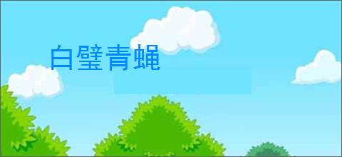 白璧青蝇