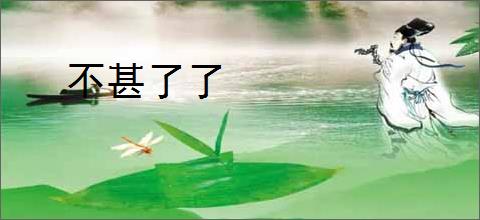 不甚了了