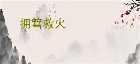 拥篲救火