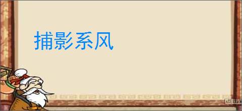 捕影系风