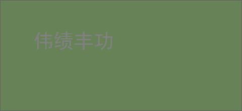伟绩丰功