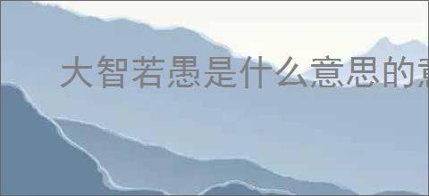大智若愚是什么意思的意思