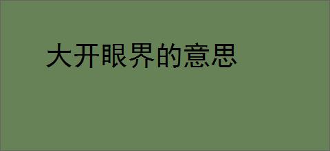 大开眼界的意思