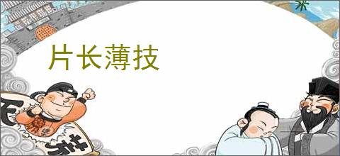 片长薄技