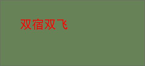 双宿双飞