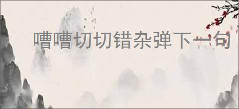 嘈嘈切切错杂弹下一句