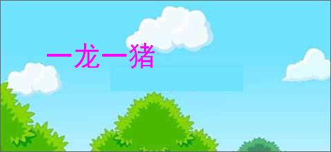 一龙一猪