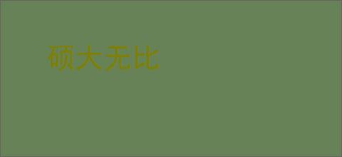 硕大无比