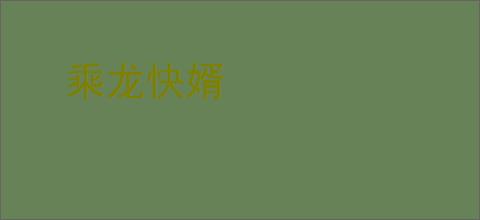 乘龙快婿