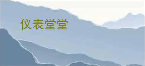 仪表堂堂
