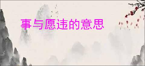 事与愿违的意思