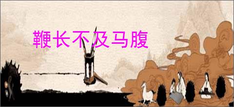 鞭长不及马腹