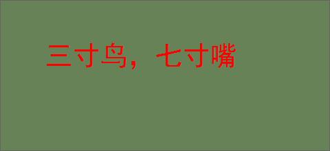 三寸鸟，七寸嘴