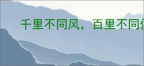 千里不同风，百里不同俗